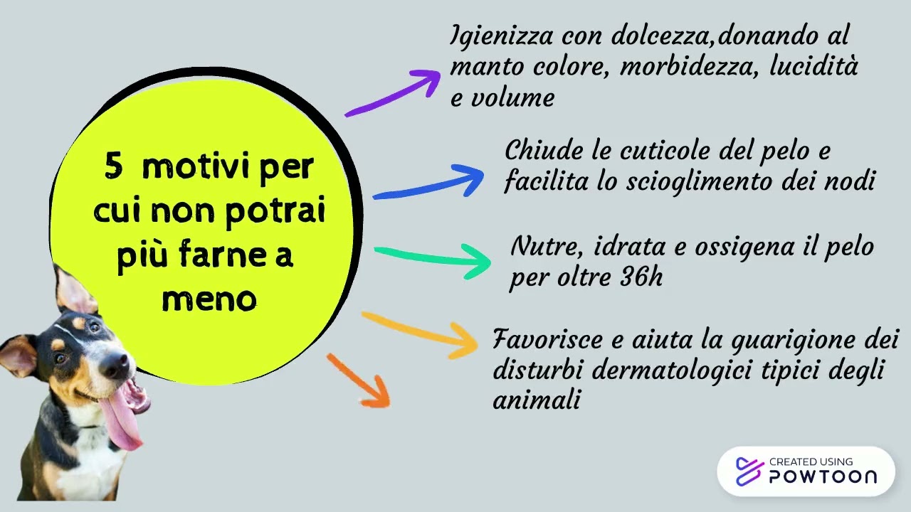 Idropet   Unico Pet ozono, ossigeno e nanobolle 🤩