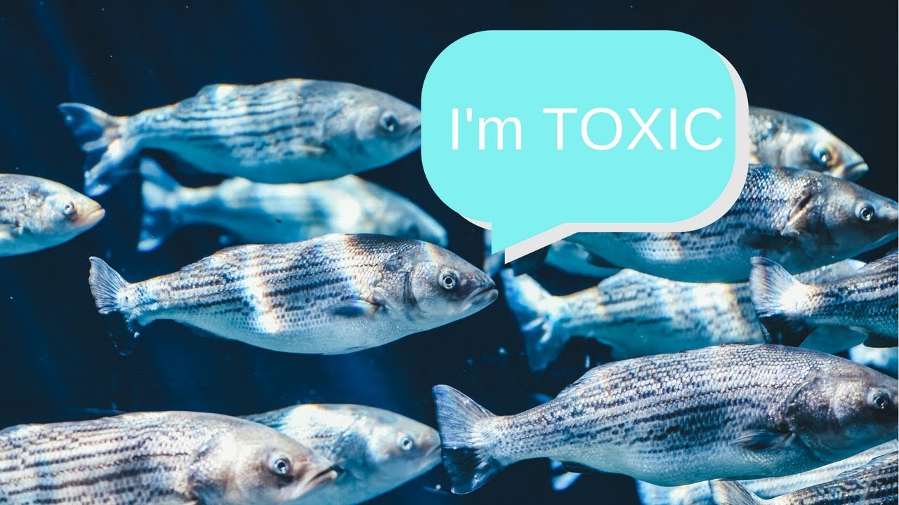 HEALTHY & SAFE OMEGA 3s
