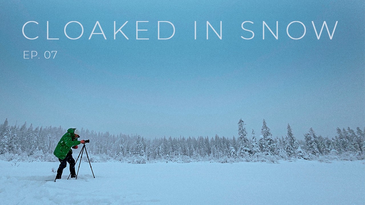 True NORDIC WINTER and the Search for One Photograph