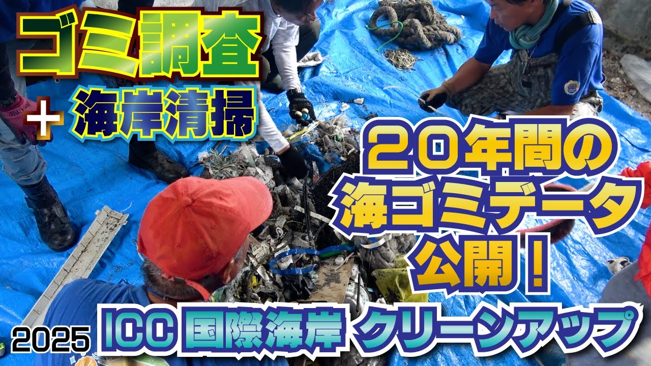 ２０年間の海ゴミデータも公開。千葉県館山市沖ノ島でのゴミ調査と清掃活動2025　ICC国際海岸クリーンアップ