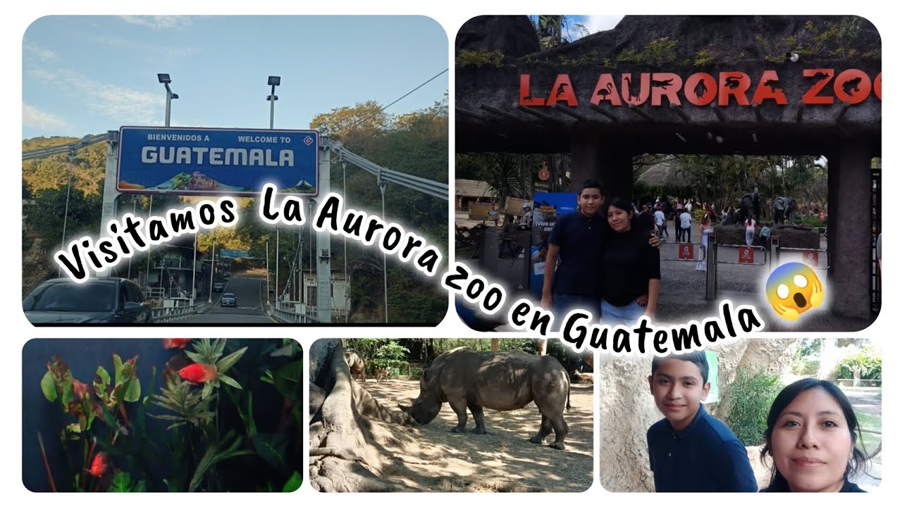 Visitamos la Aurora zoo en Guatemala 😱 nos fuimos de viaje ☺️ #viajando #guatemala #zoológico 