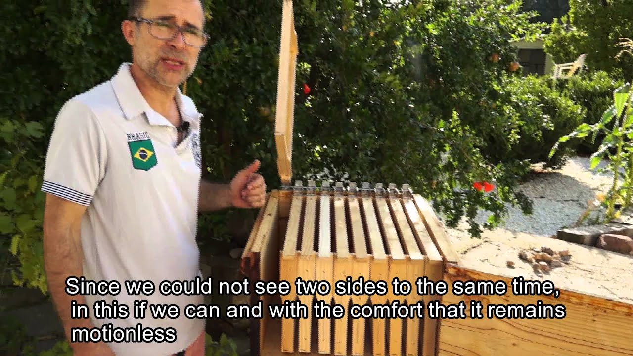 upper movable hive Méndez