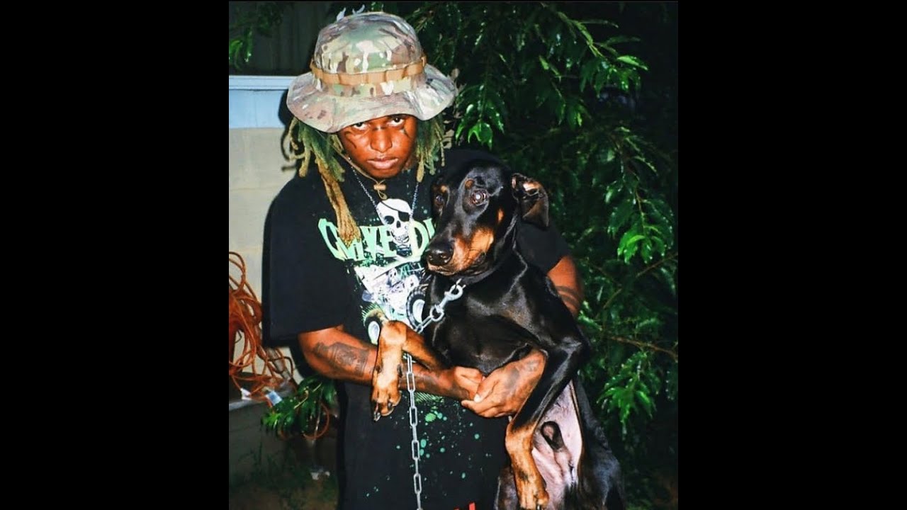 ZillaKami - ILLUSIONS (my version)