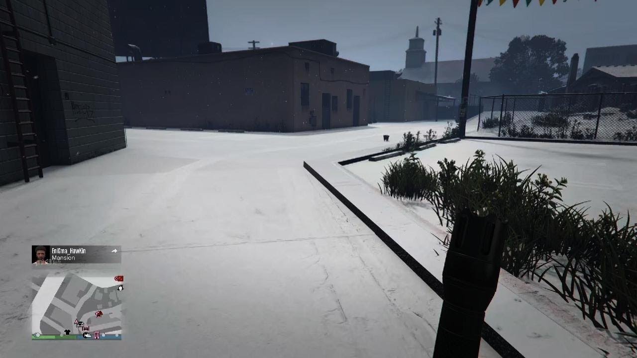 GTA Online - A Couple Big Cats 😍😍🥰🥰🥰🥰