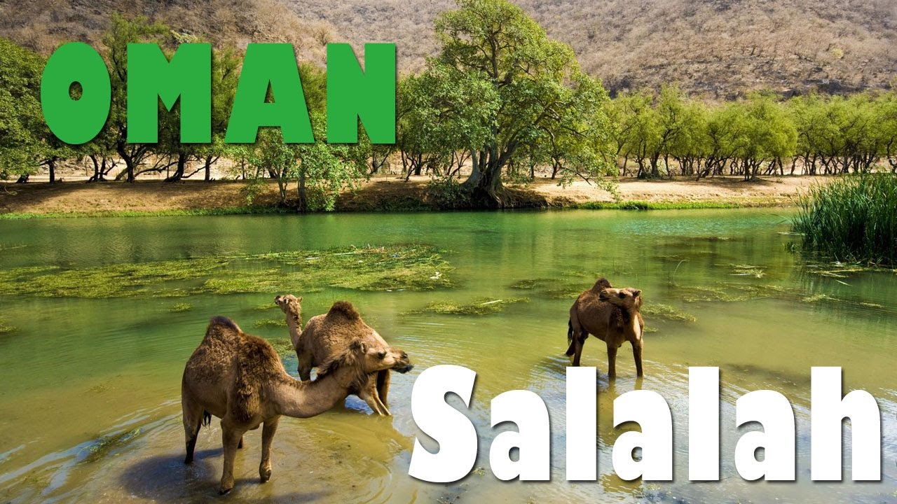 Exploring the Enchanting Beauty of Oman's Salalah
