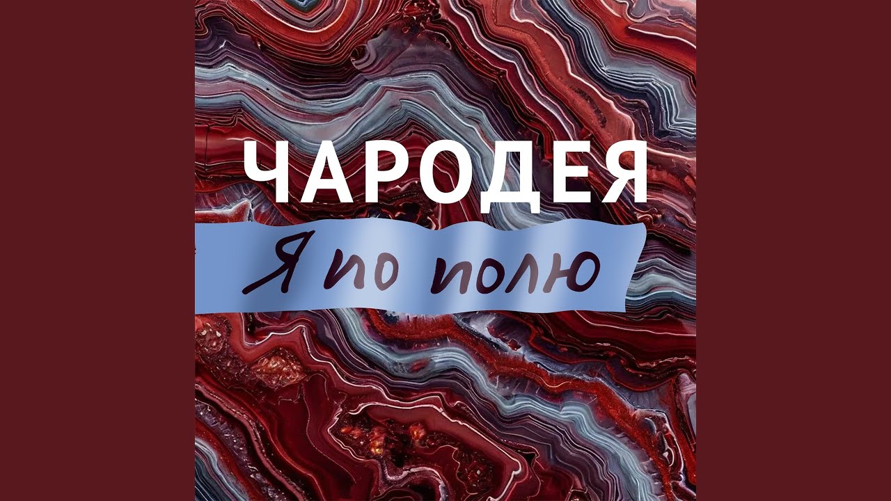 Я по полю