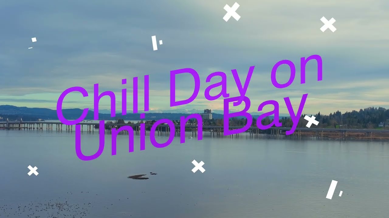 Chill Day on Union Bay #seattle #dji #mavic3 #drone #huskystadium #unionbay #northwest