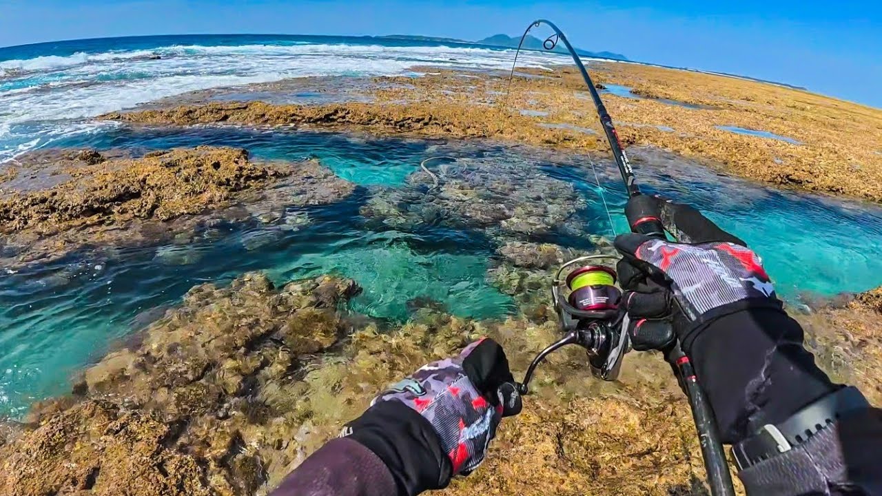 Soft Plastic Lure Fishing In Reef Pools