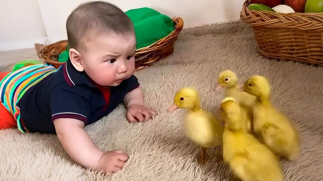 Babies Meet Animals: 100% Cuteness Overload!🐶🥰