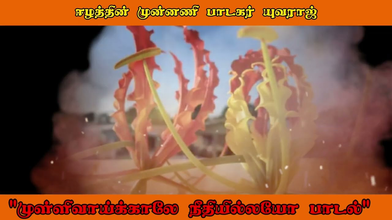 முள்ளிவாய்க்காலே நீதி இல்லயோ | முள்ளிவாய்க்கால் பாடல்| mullivaikale neethi ellaijoo eelam song |