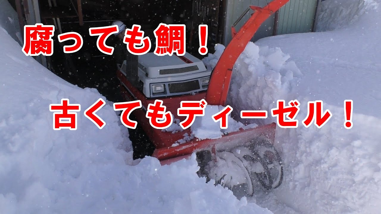 腐っても鯛！古くてもディーゼル！