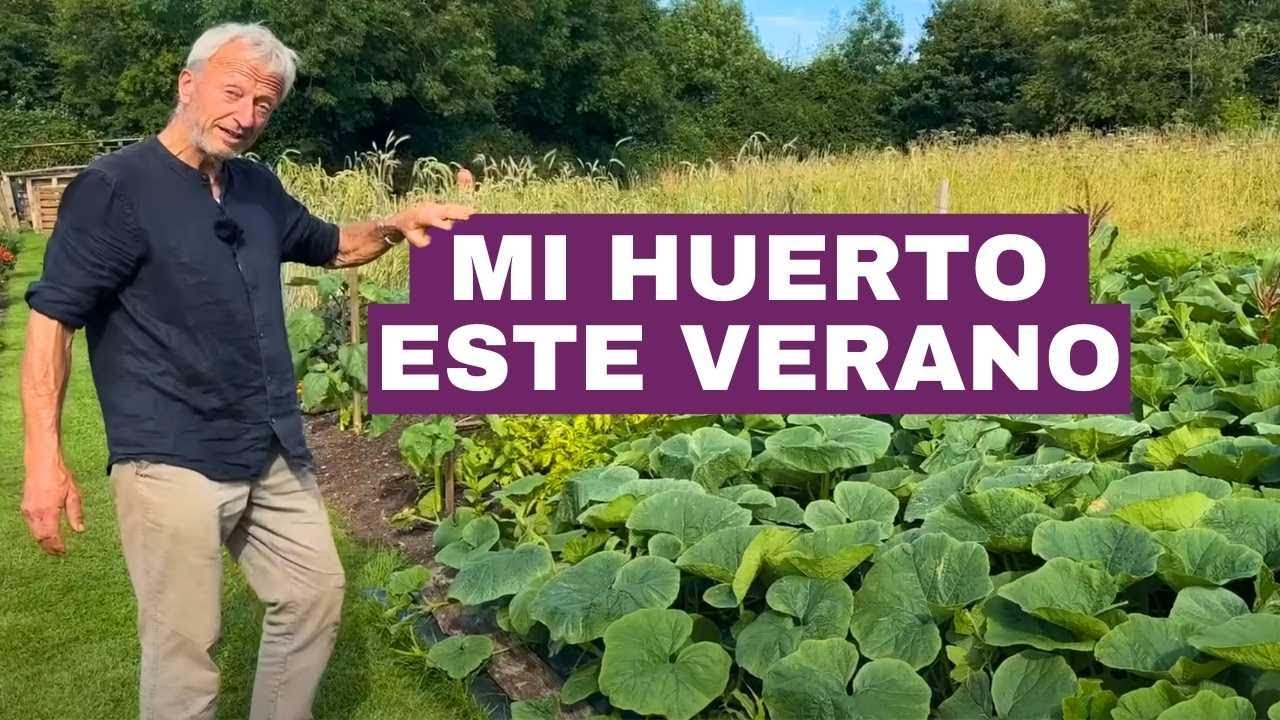 Revoluciona Tu Jardín con la Técnica Sin Cavar: Mi Éxito de Verano!