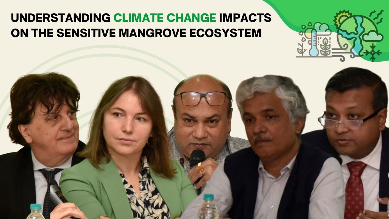 Blending Blue Carbon, Climate Resilience, and Sustainable Finance in the Indo-Pacific