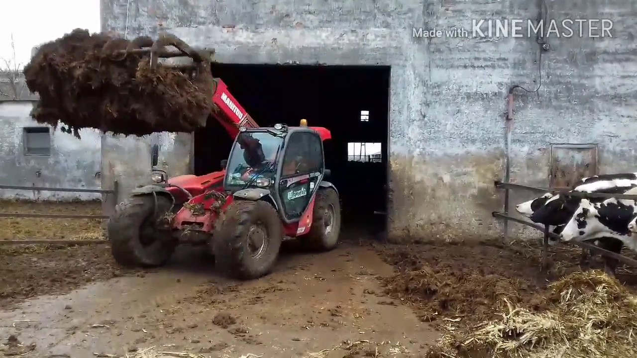 Manitou MLT 634-120 LSU Turbo -- Trágyapakolás / Loading of manure/ obornik