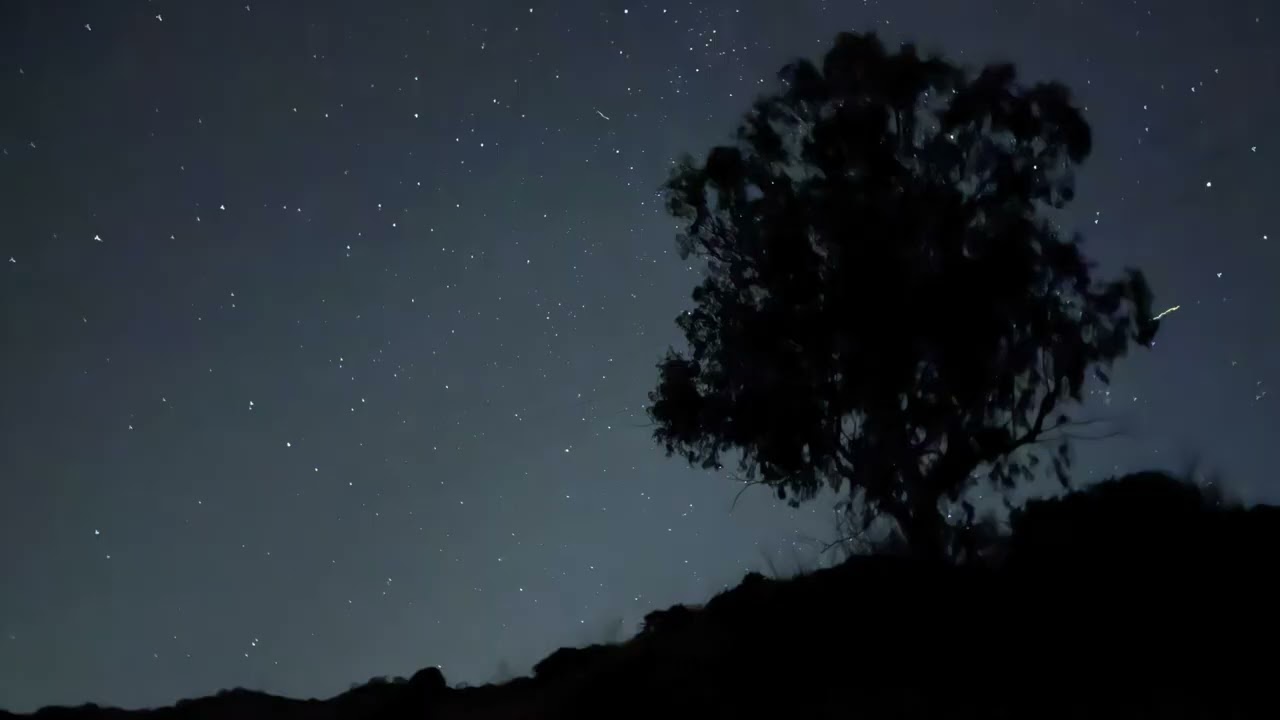 48 minutes of Sicilian cicadas