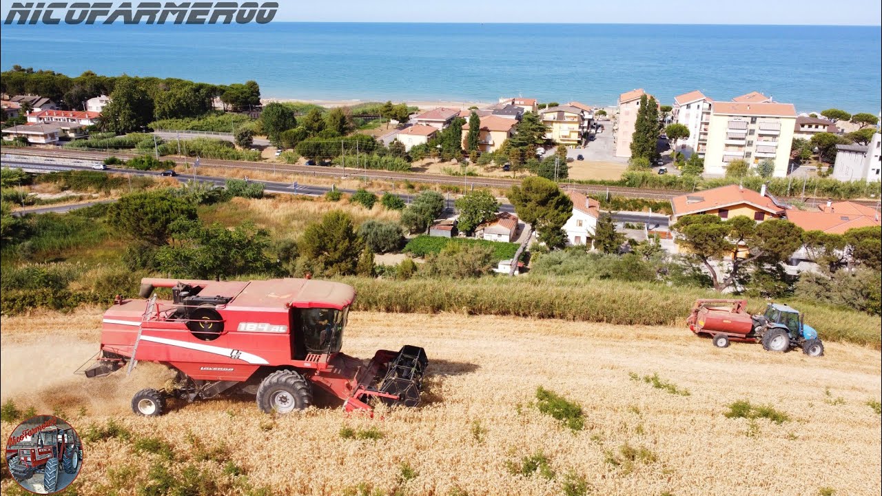 TREBBIATURA FRUMENTO ALL'ITALIANA 🇮🇹 | LAVERDA 184AL + LANDINI VISION 105 | CAPUANI & TRAINI
