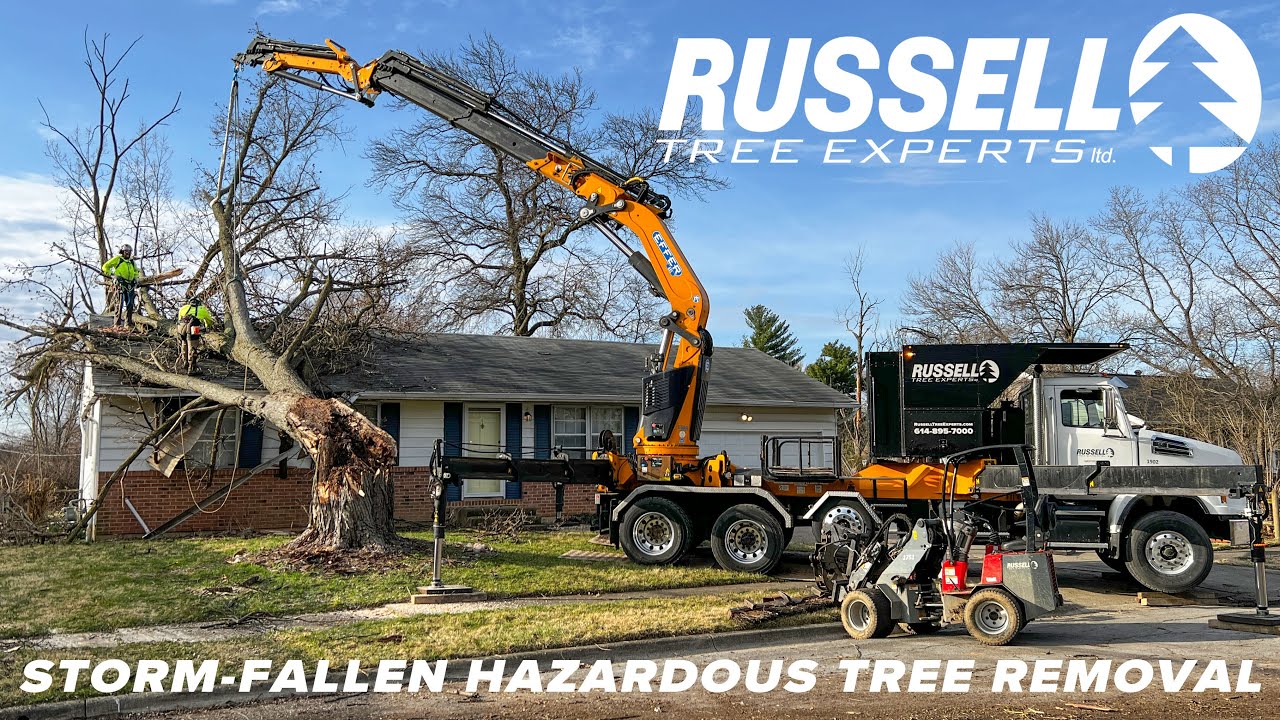 Removing a Storm Damaged Tree Off of a House!