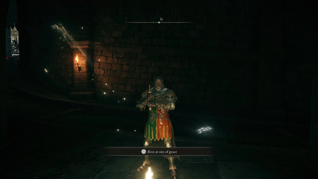 Elden Ring | The Adventures of The Golden Chin