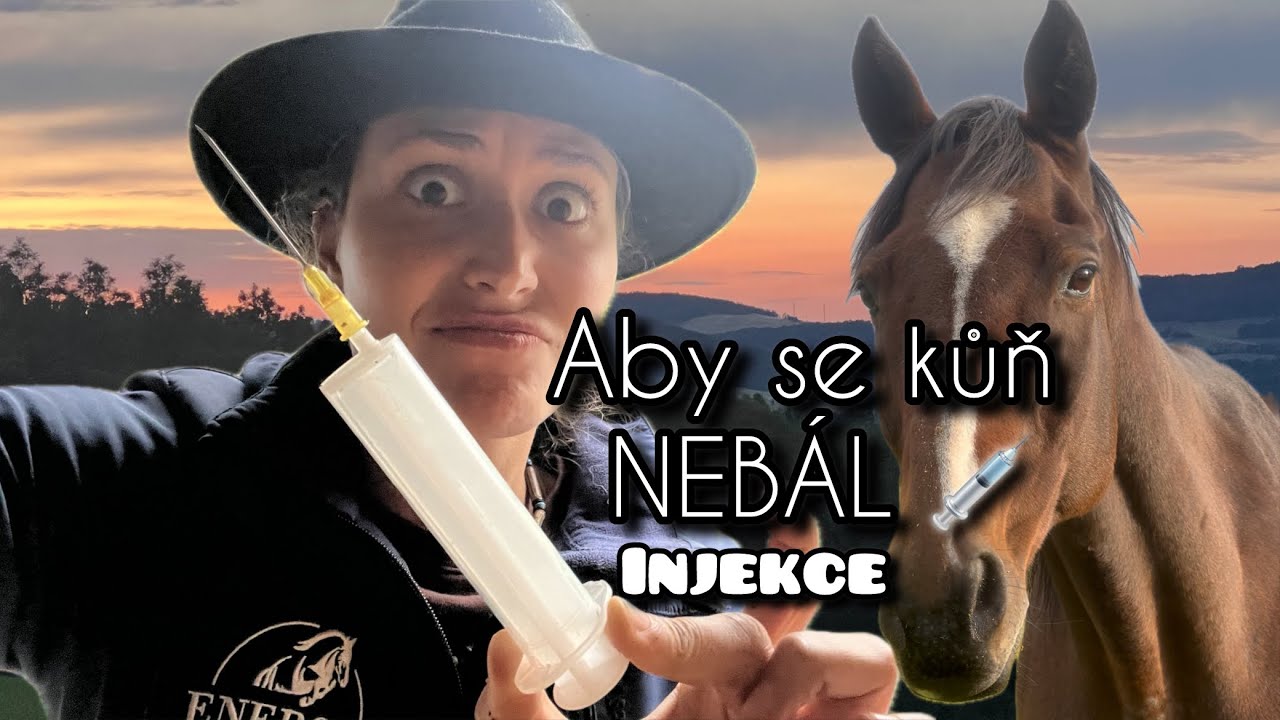 Jak koně připravit na INJEKCI, aby o ní nevěděl 🥰 jak na koně #17