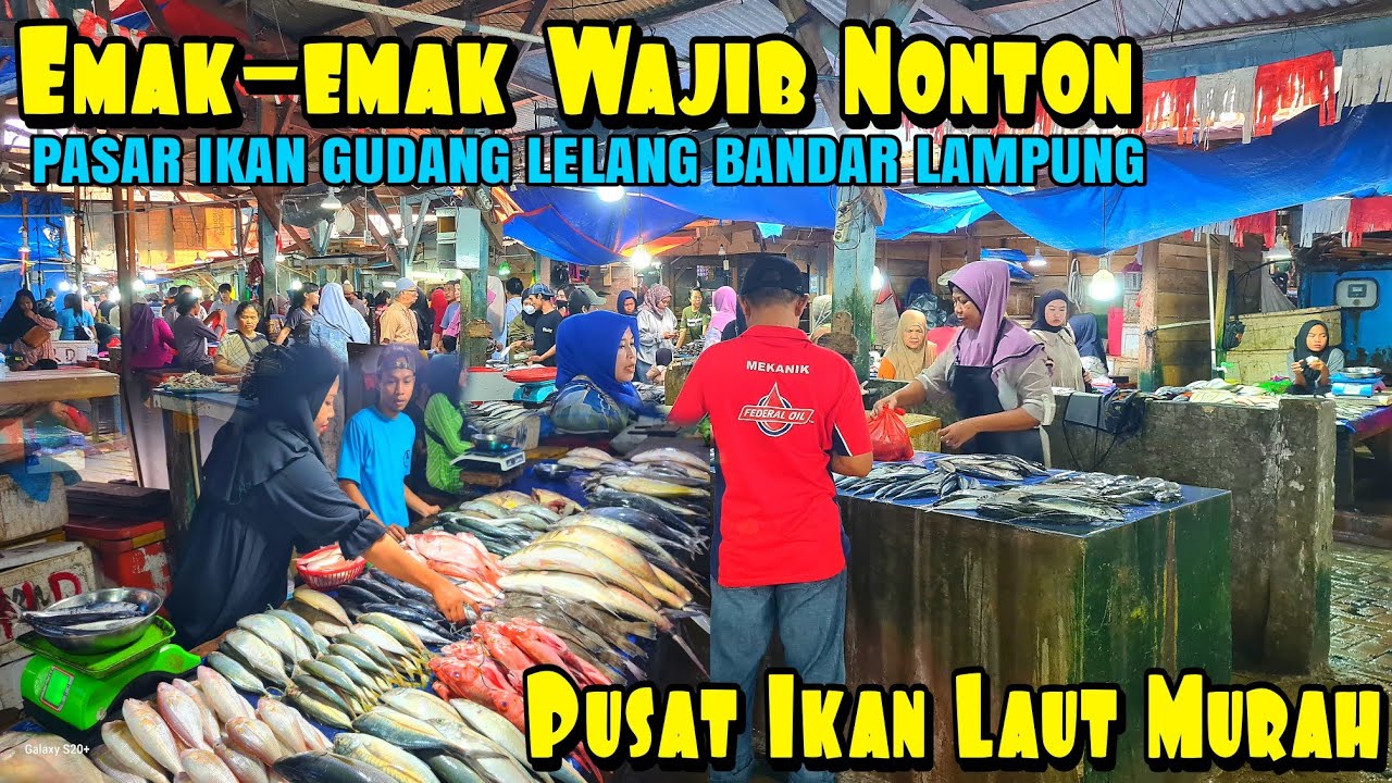 ADA APA AJA SIH DI PASAR IKAN GUDEL | Informasi Pasar Ikan Gudang Lelang TelukBetung Bandar Lampung