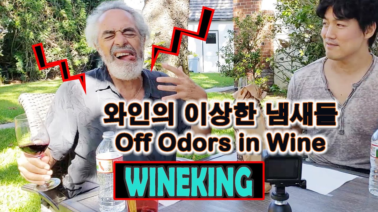 와인에서 아주 이상한 냄새가 나는 경우? Off odors in Wine? 와인추천을 하지 못할 정도죠~l wineking