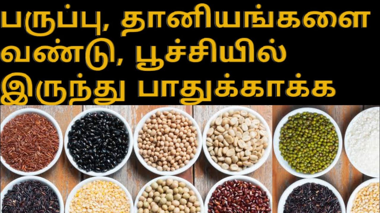 How to Store Dal / Pulses from bugs for long time in Tamil | Suja's Samayal