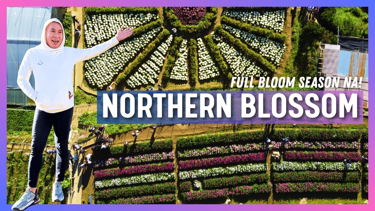 ANG PINAKAMALAMIG NA FLOWER FARM | Northern Blossom Flower Farm sa Atok, Benguet | Fun Travel Guide