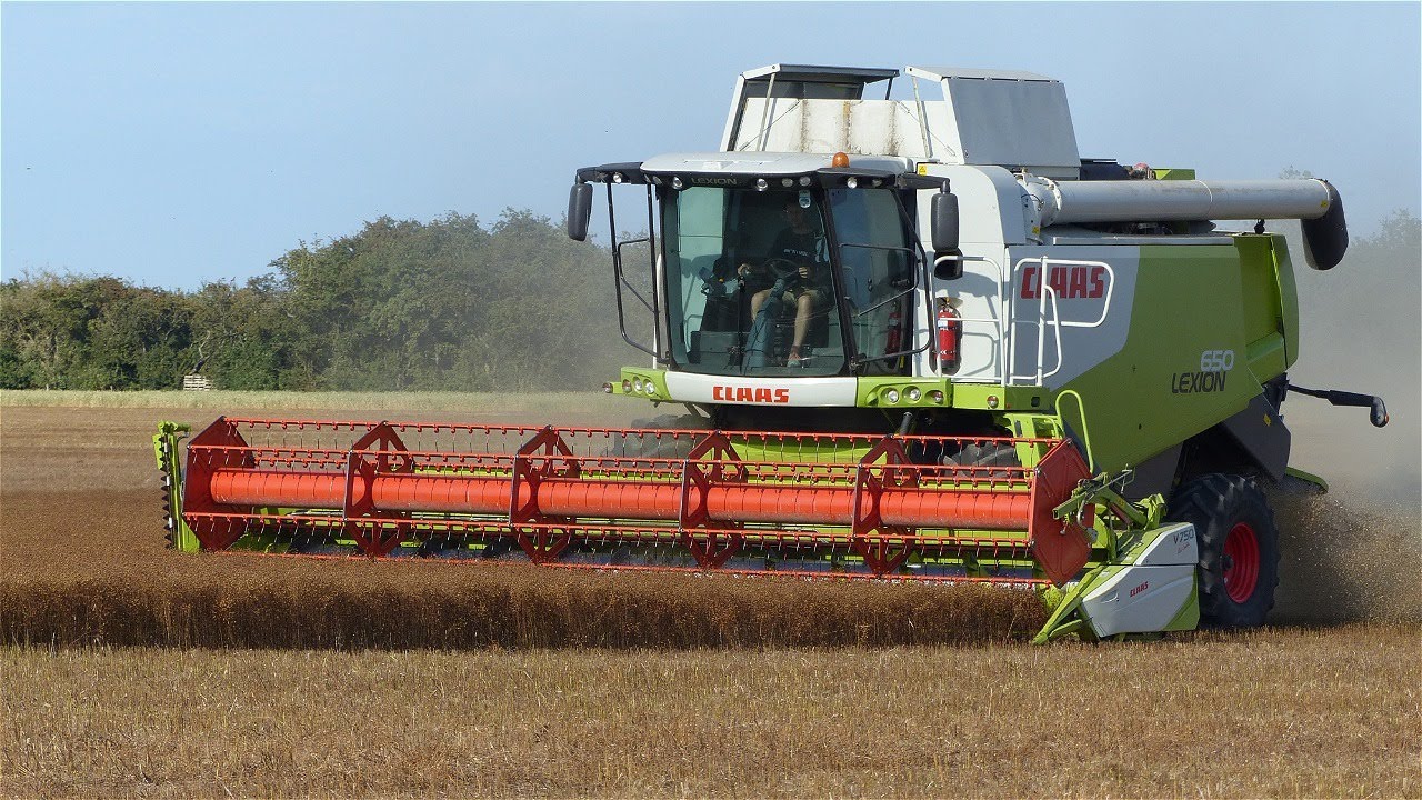 Class Lexion 650 Harvesting Linseed 2020