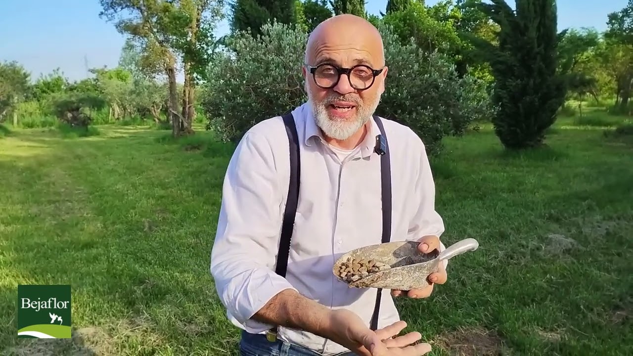 compresse di giardinaggio. La pietra pomice.