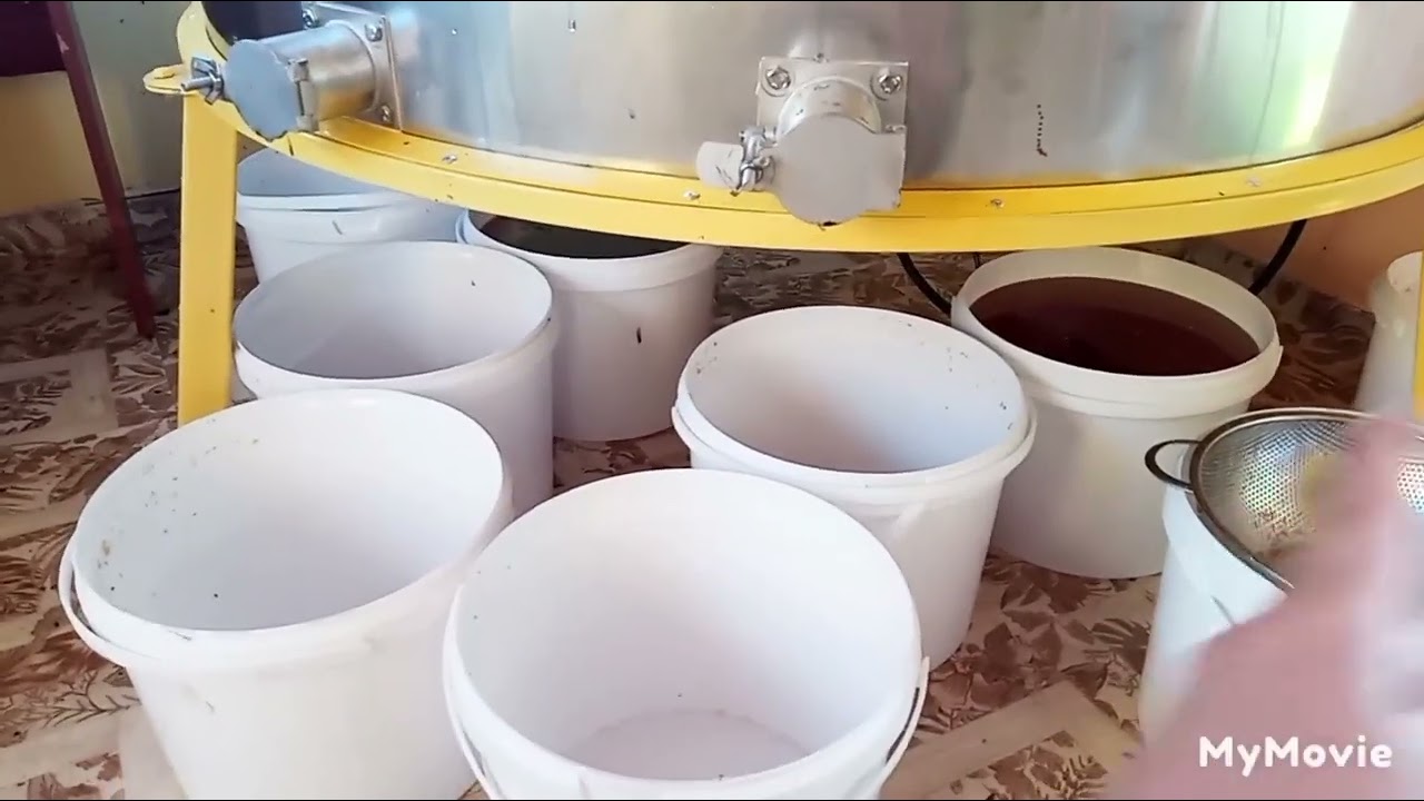 Отзыв о медогонке Донская пчела.