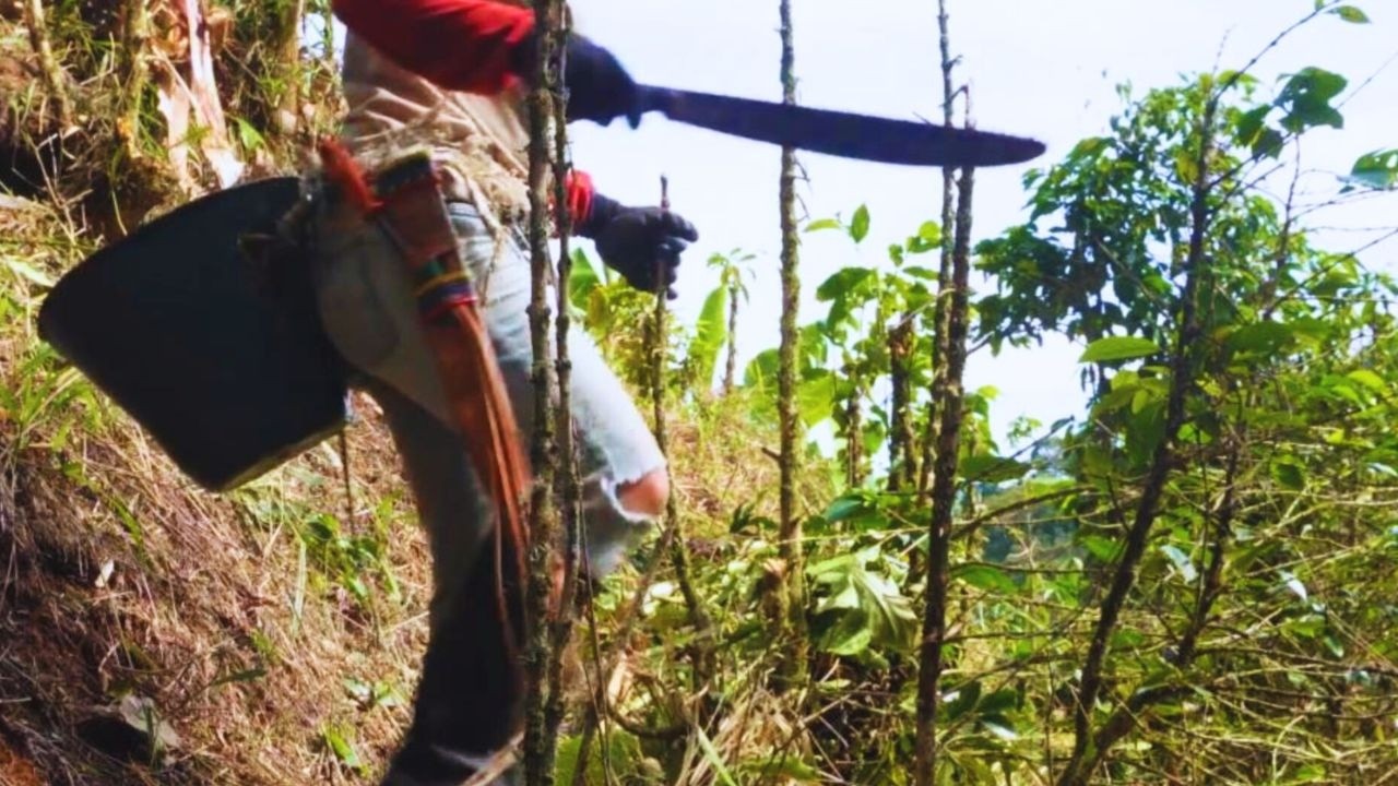 Building Our Andes Mountain Homestead | Quiet Farm Life (No Talking)