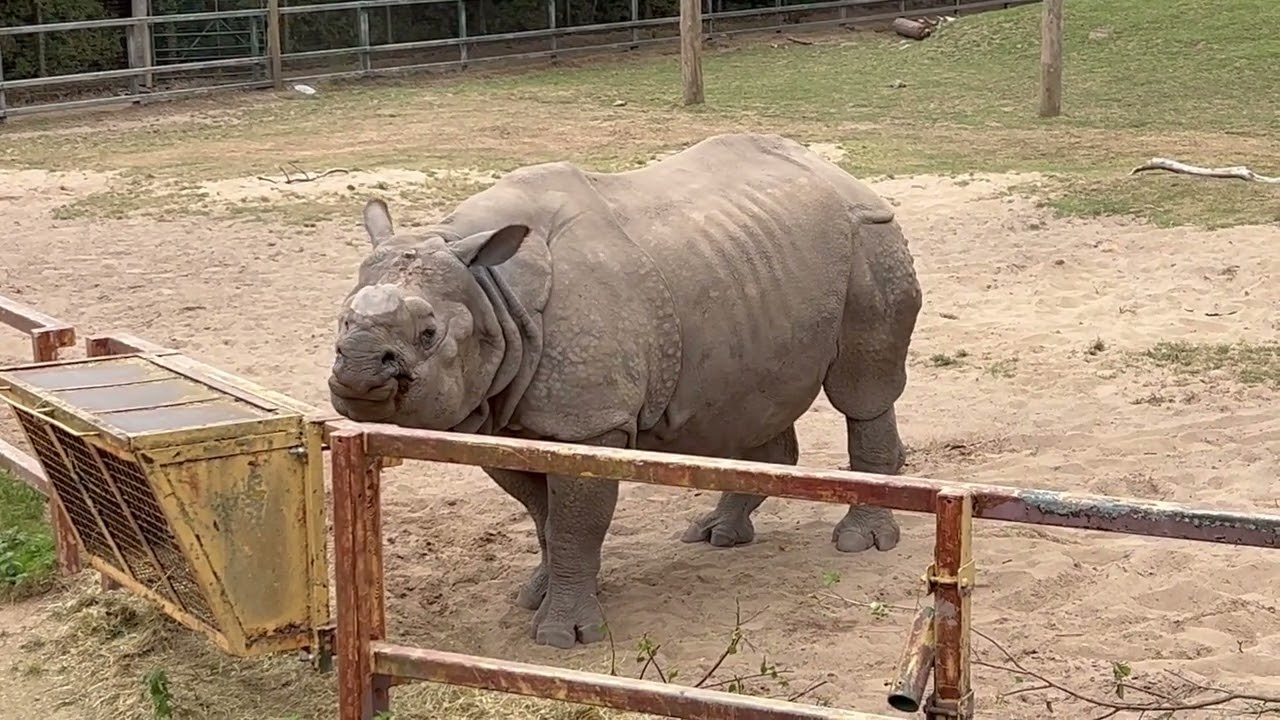 chester zoo aug 25