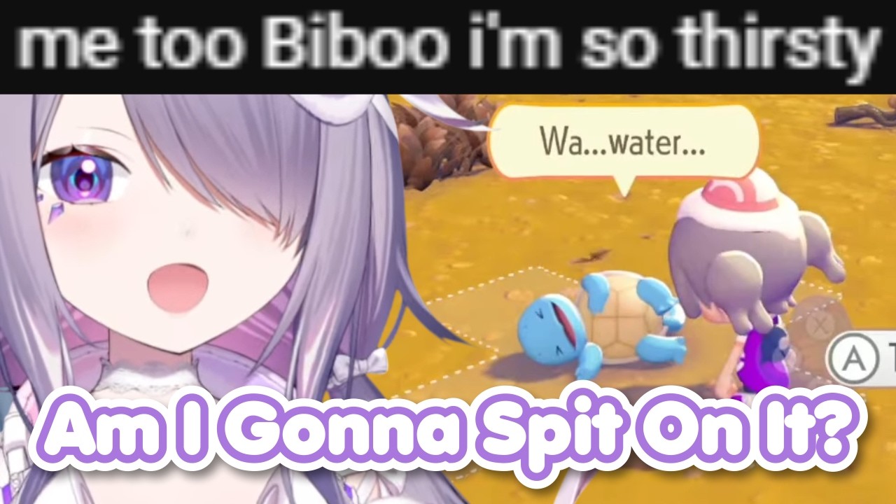 Chat Couldn't Behave After Biboo Did This in Pokémon