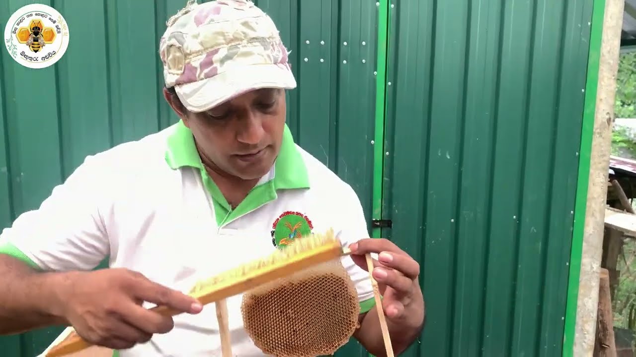 මී මැසි පාලනය ඇරඹීම සඳහා පසුබිම සකස් කර ගැනීම - Setting the environment for starting beekeeping