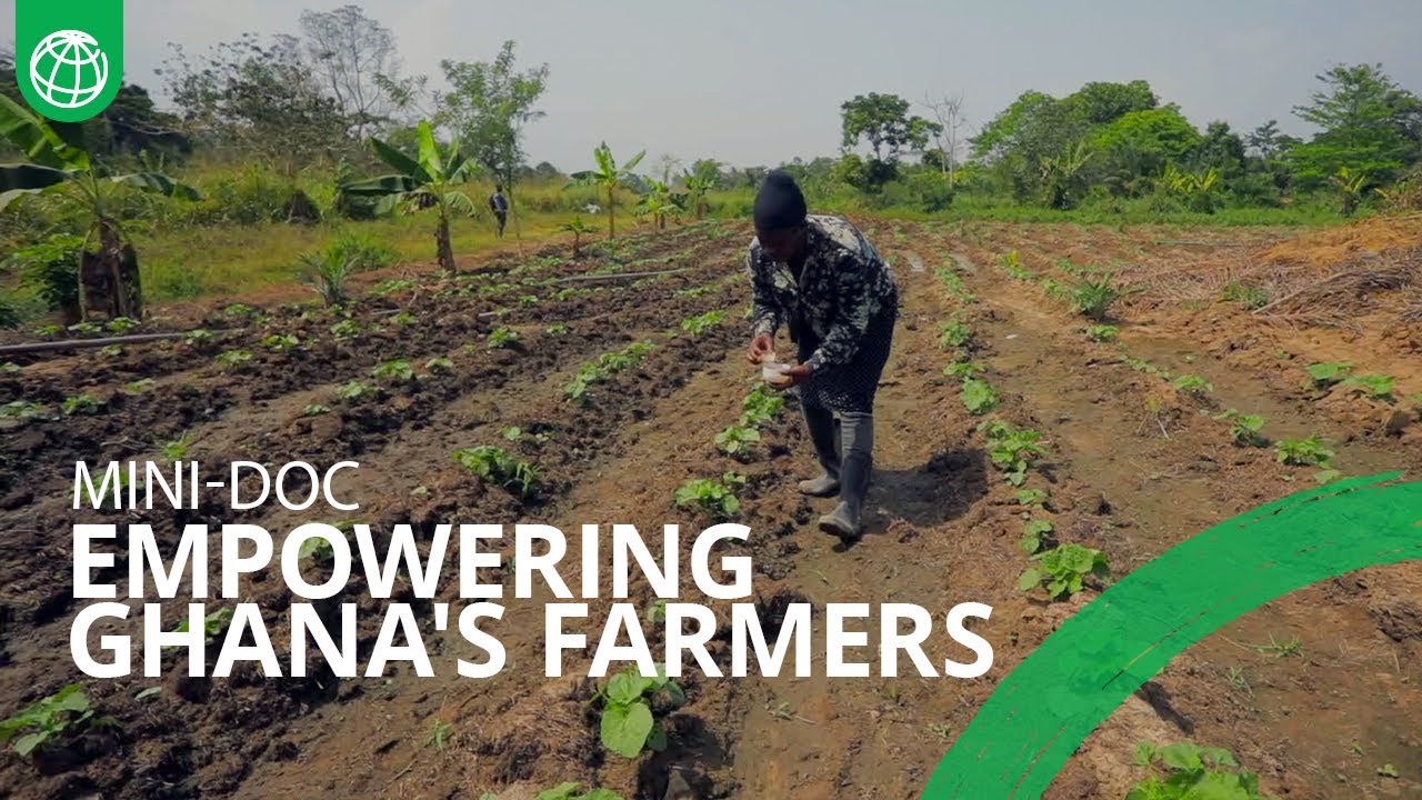 Empowering Ghana's Farmers: The Impact of Fertilizer Distribution