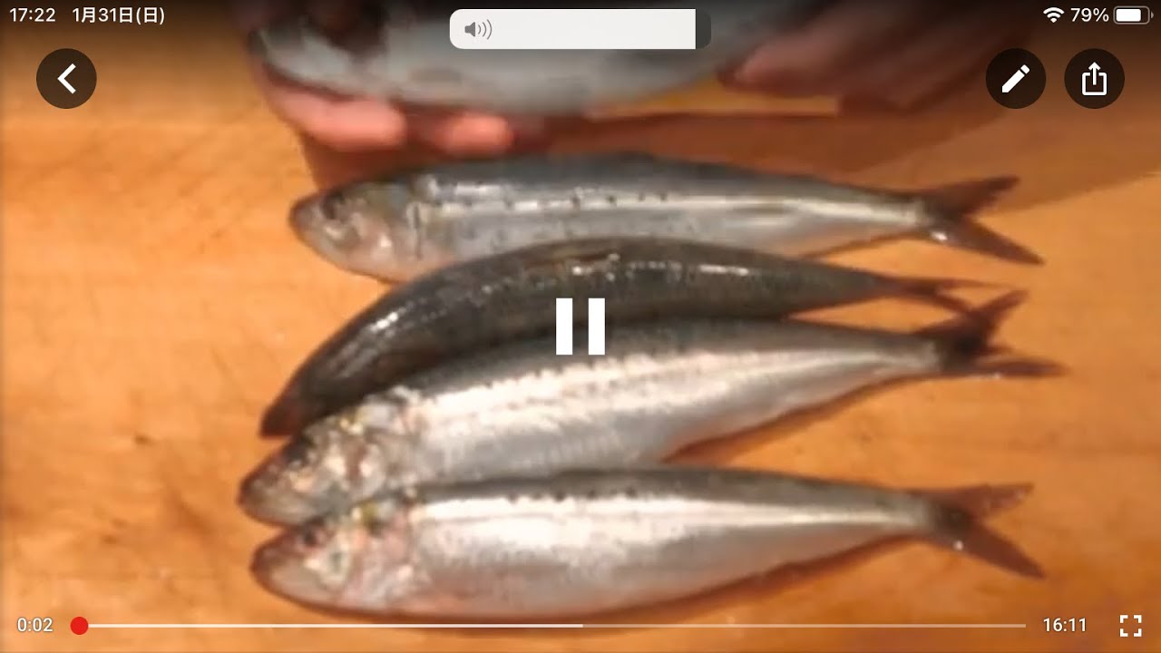 《鰯の刺身とナメロウ》・・・・大和の　和の料理《刺身とナメロウ（リハビリ編)》