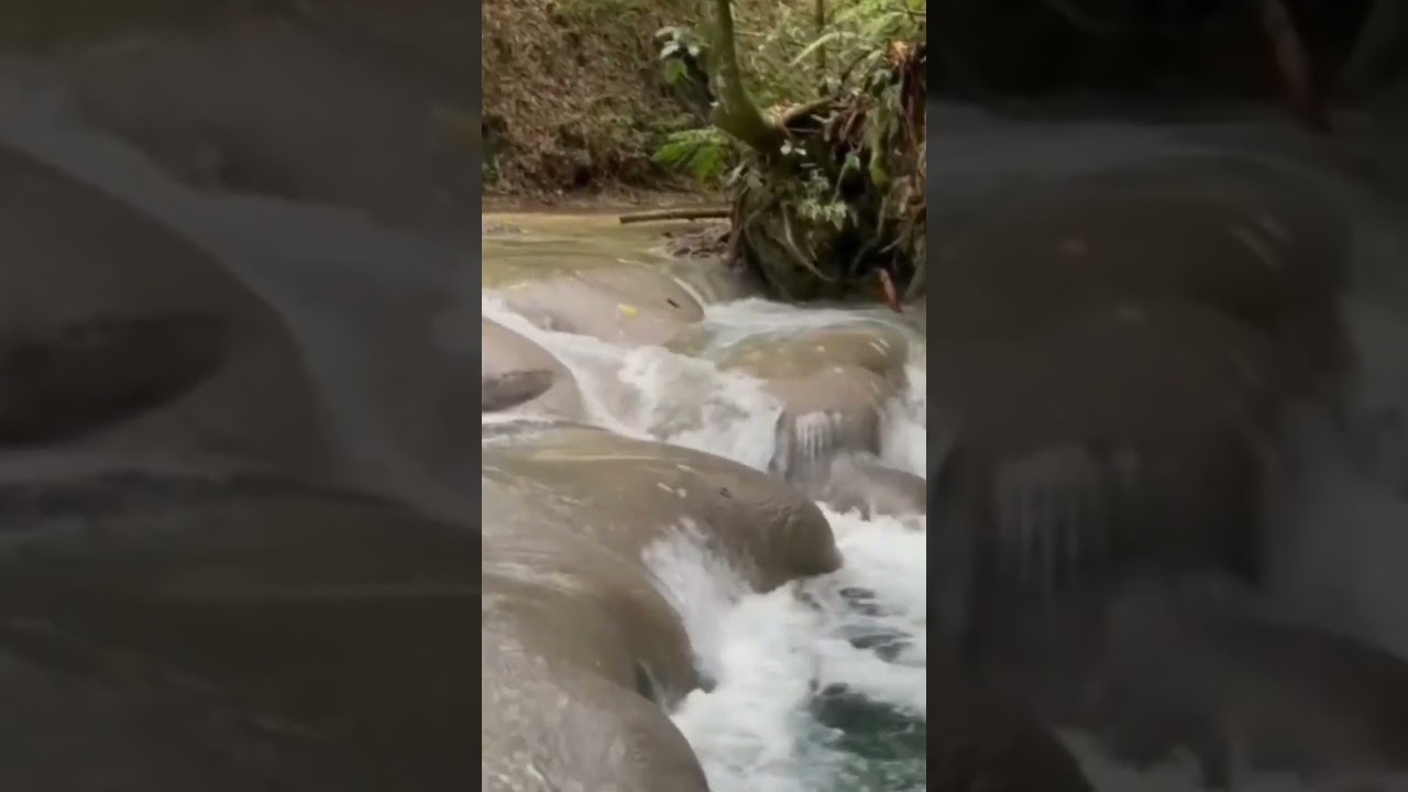 Mayfield Falls & Minerals, Westmoreland #shorts #river #jamaica #satisfyingvideo #like #subscribe
