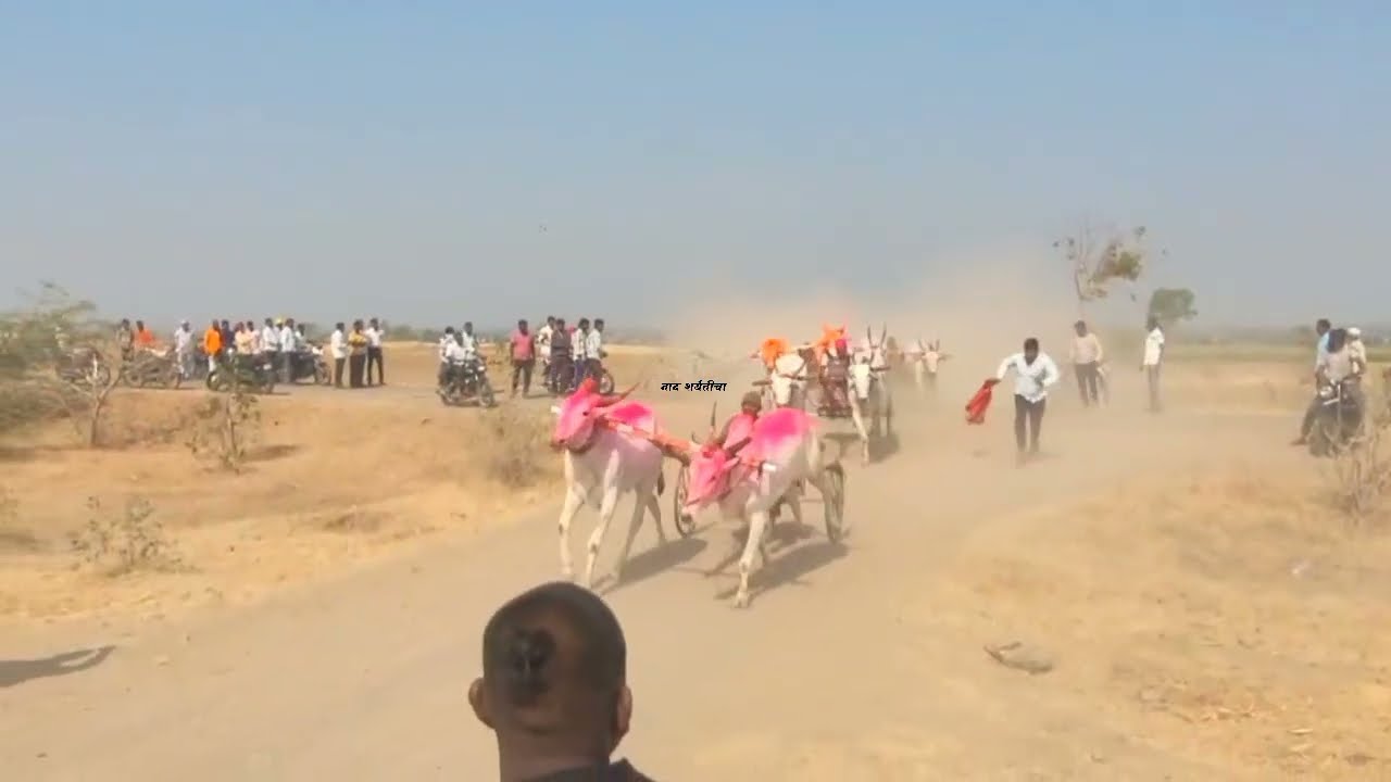चंद्रापवाडी जनरल ब गट |1कोल्हापूर वश्या - बागेवाडी वश्या 2 शिरूर गण्या 3 मायनटी बटलर - शुकर्या 