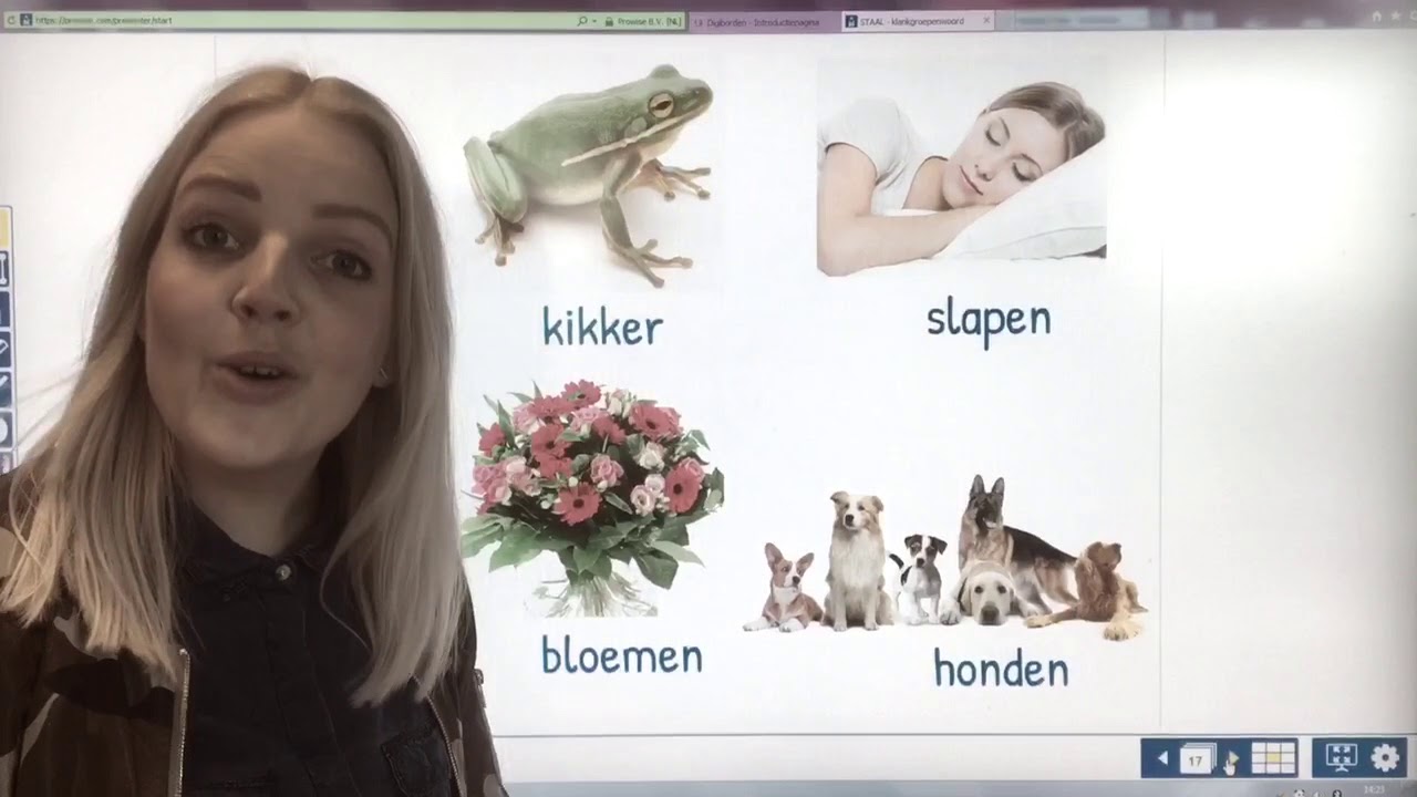 STAAL - klankgroepenwoord
