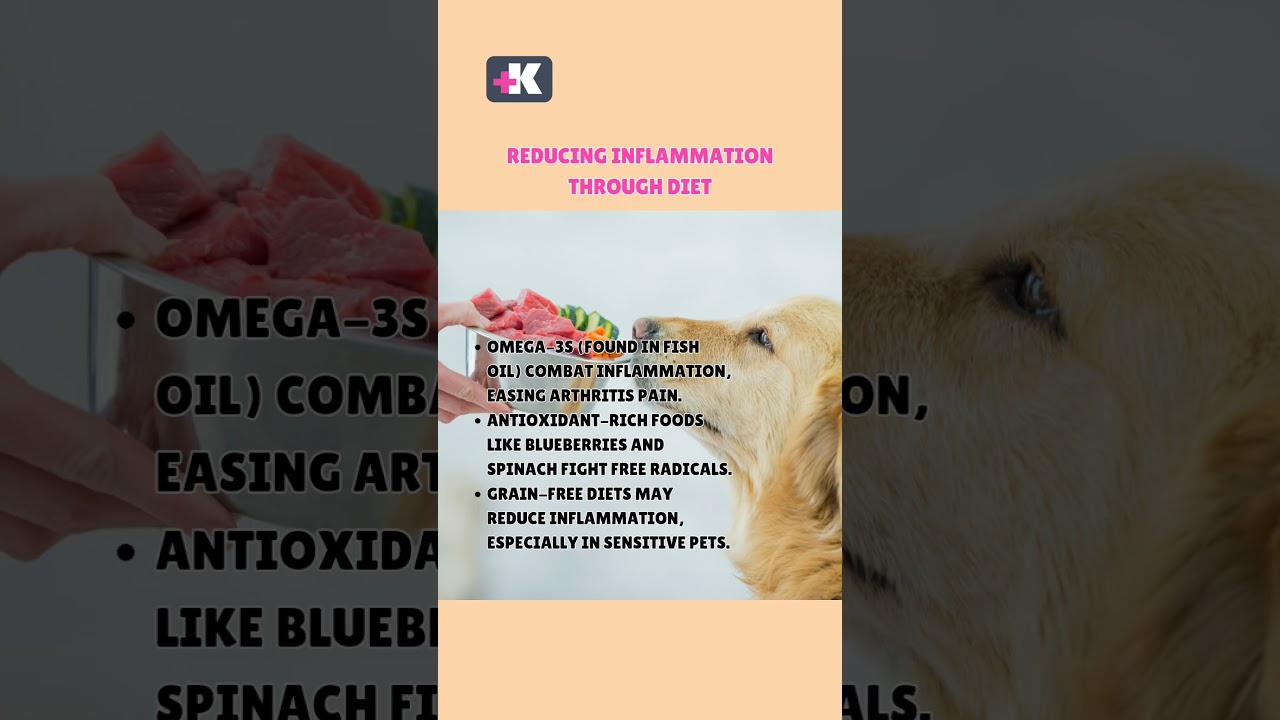#PetNutrition