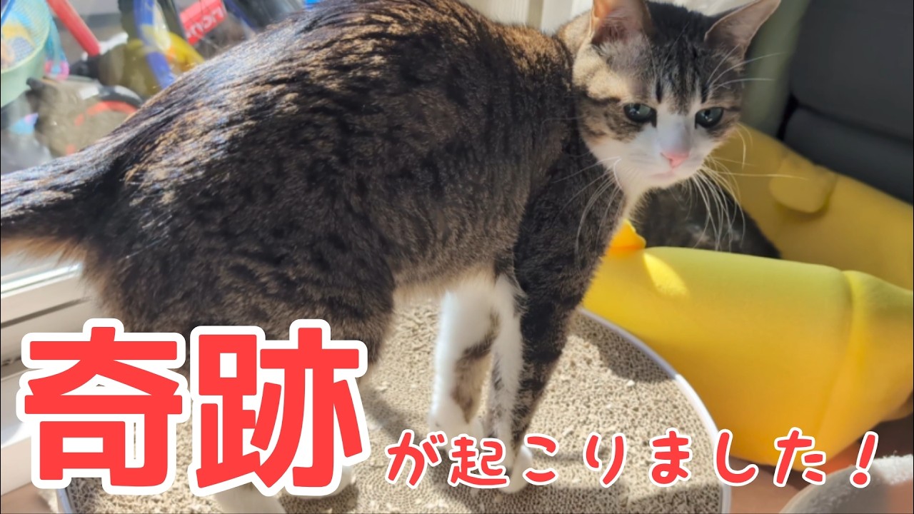 何年ぶりかの奇跡！ vol.1530