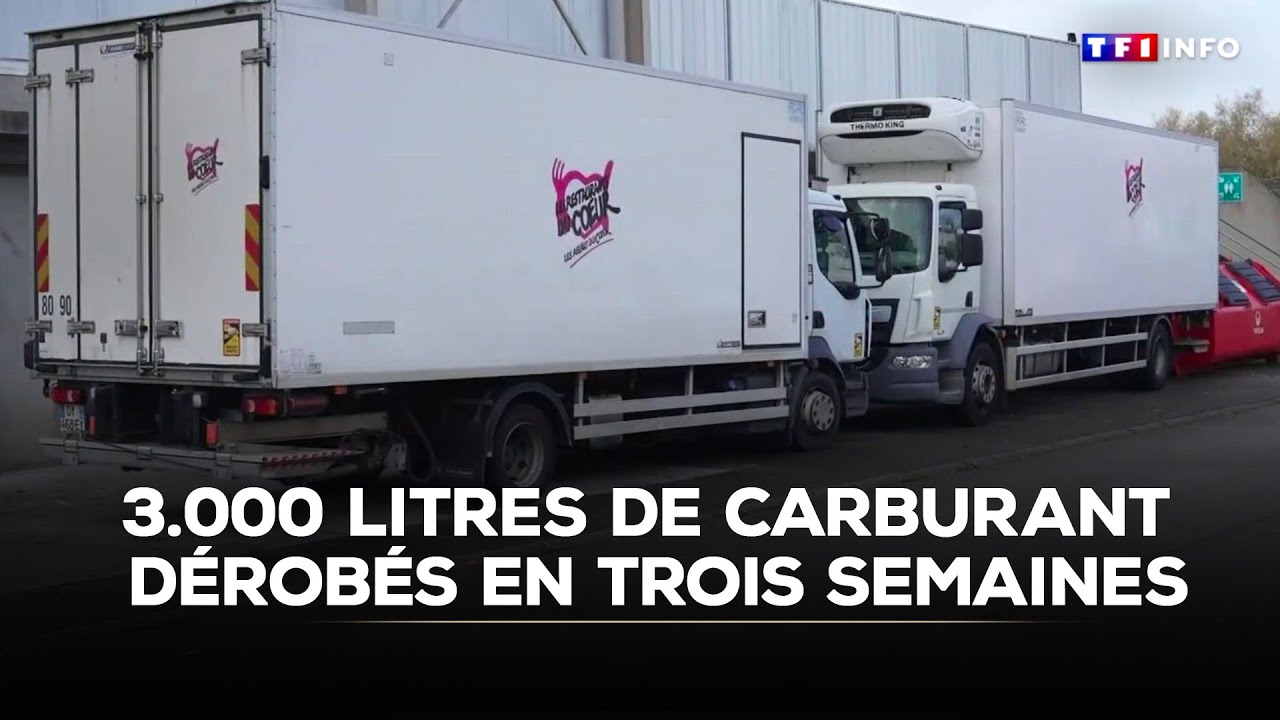 Scandale : les Restos du Cœur encore volés｜TF1 INFO