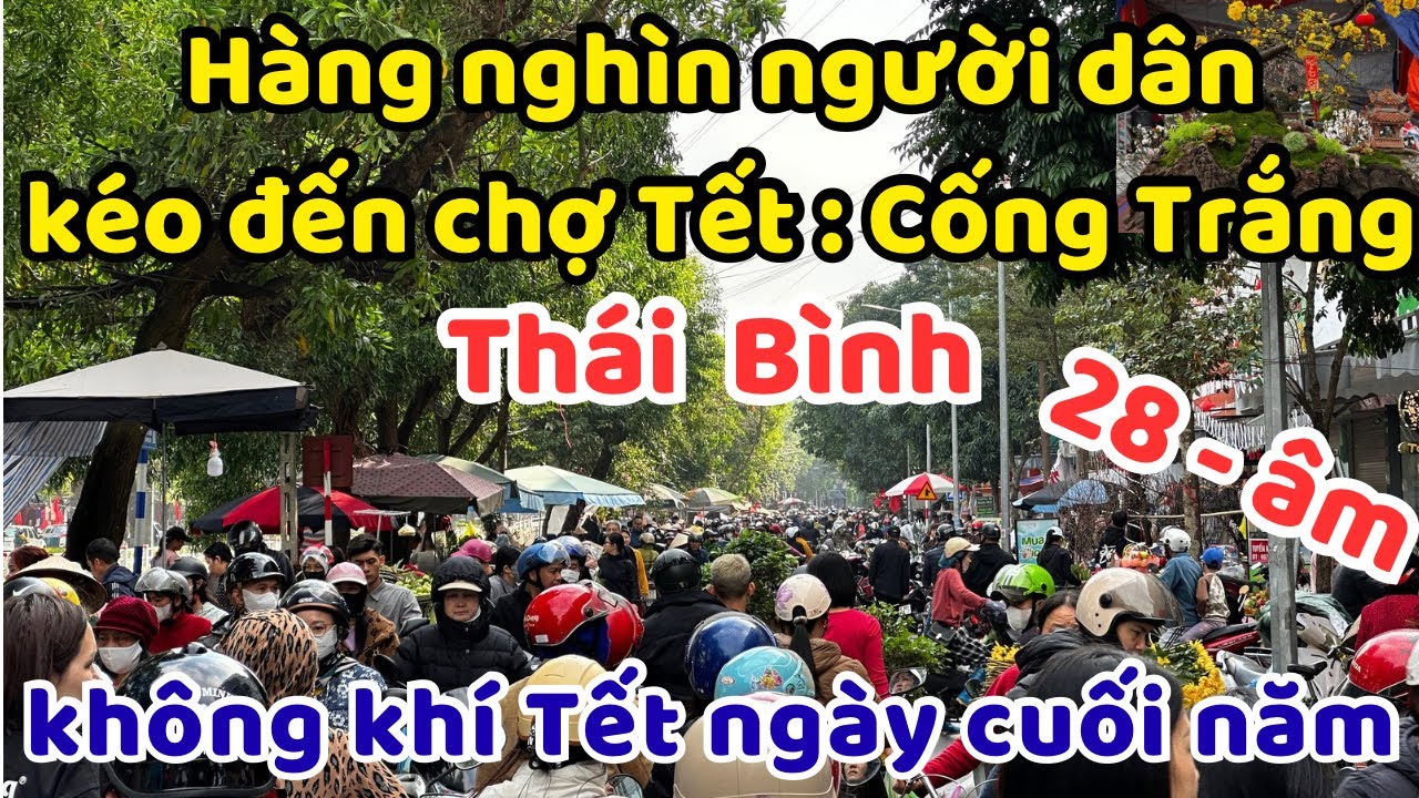Không khí chợ Tết 