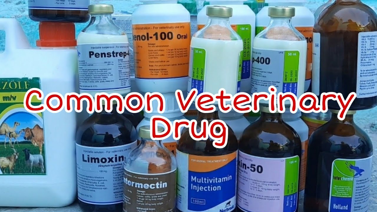 Common Veterinary Drugs| Part 1