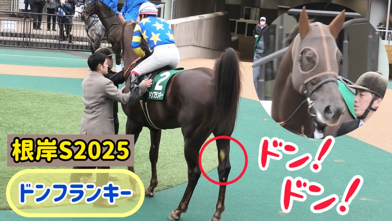 【根岸S2025】池添騎手が乗ると604キロの巨体からドン！ドン！う○ちしちゃうドンフランキー