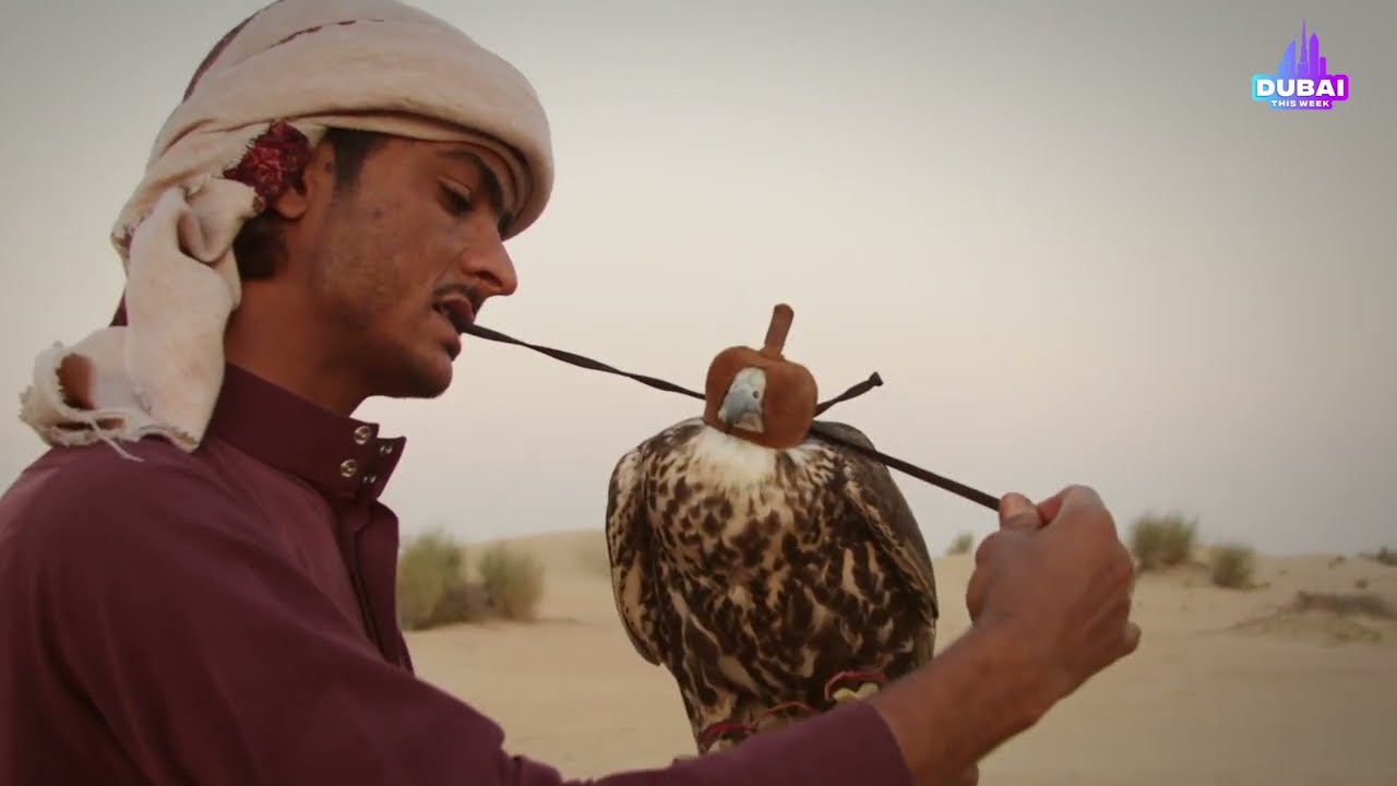 Falconry: A Rich UAE Tradition