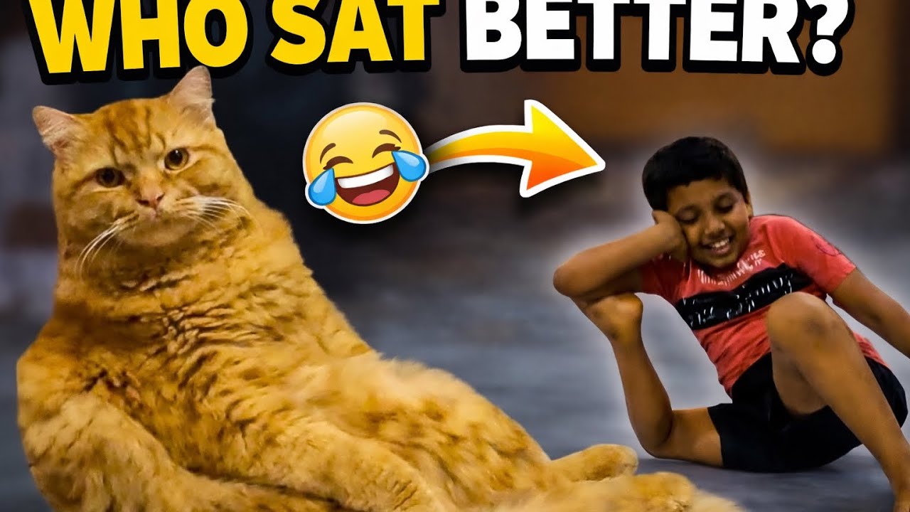 How To Sit Like A PRO Ft. Daksh & Sam 🐾 | 74/365