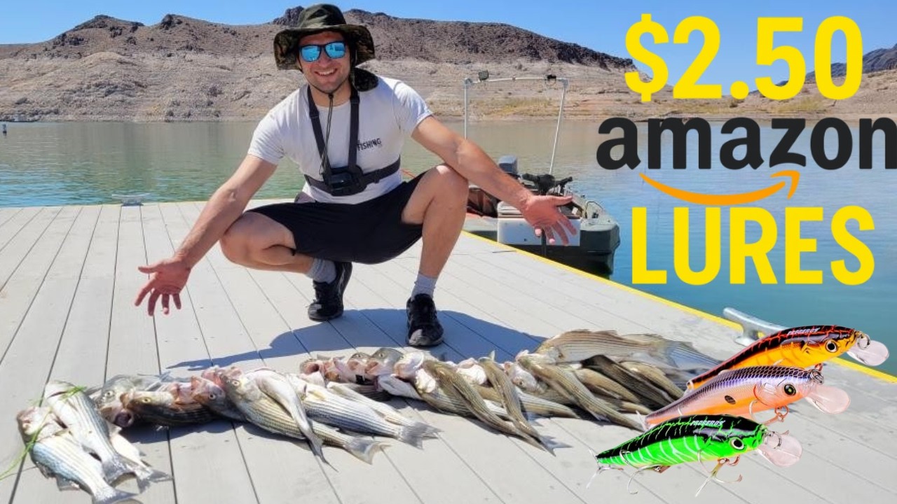 Who Knew $2 Amazon Lures Could Catch this many Stripers at Lake Mead Nevada
