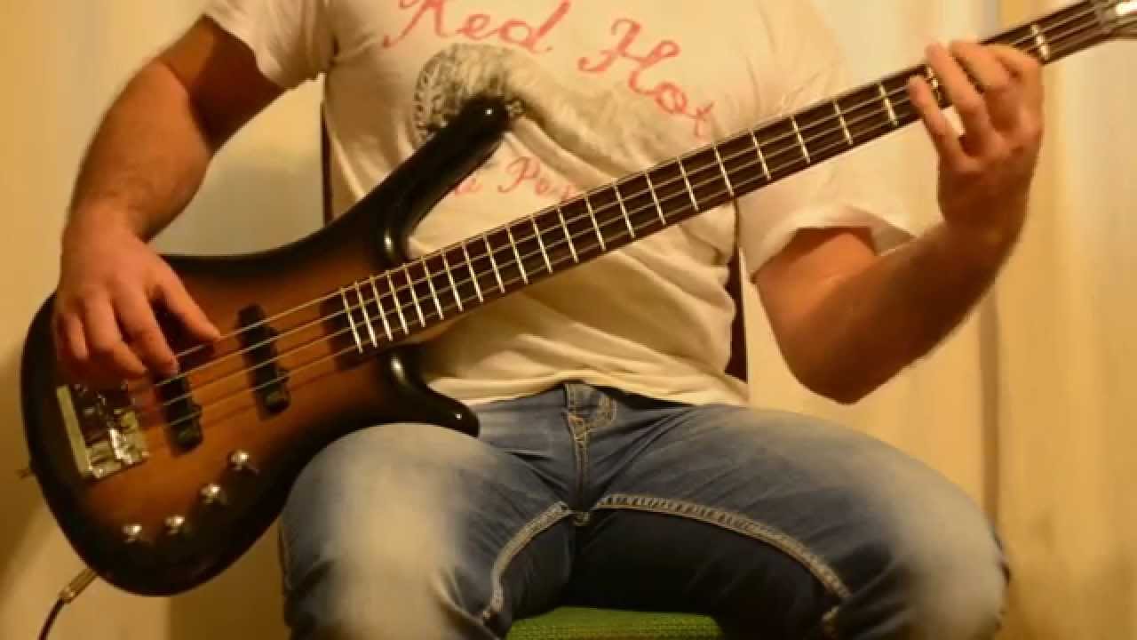 RHCP - Californication bass cover