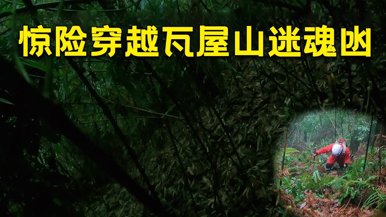 穿越瓦屋山迷魂凼，差一点在密林中饮恨西北，让人心惊胆战【户外小北哥】